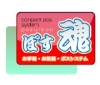 スタンダードからプロフェッショナルへバージョンアップ